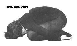 shashankasana